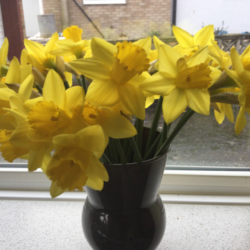 Notice Gallery for Stephen Andrew PUGH