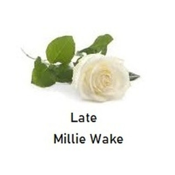 Notice Gallery for MILLIE WAKE