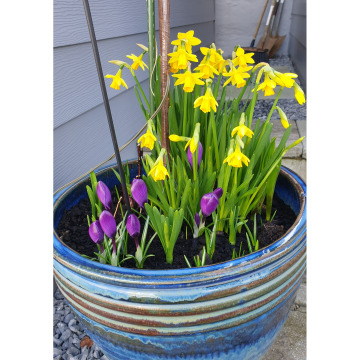 Photo of Jan SUTHERLAND