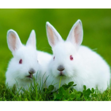 Notice Gallery for JEAN MARGARET VIZE