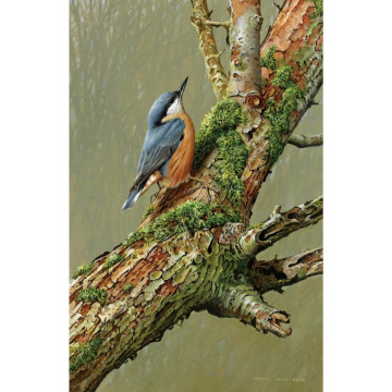 Notice Gallery for Luciane MURFITT