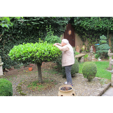 Photo of Erika Anneliese MALTEN