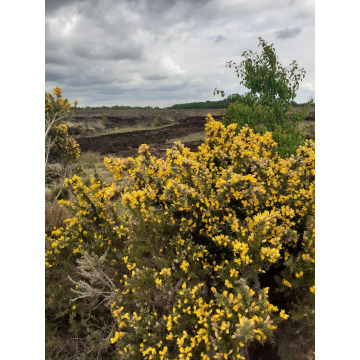 Notice Gallery for ANNIE O'DONNELL