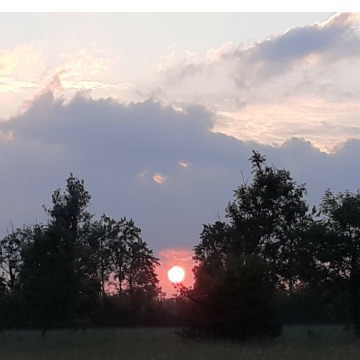 Notice Gallery for ANNIE O'DONNELL