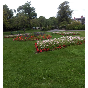 Notice Gallery for Keith Frederic SALTFLEET