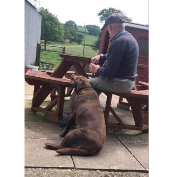 Photo of John  Eilir EVANS