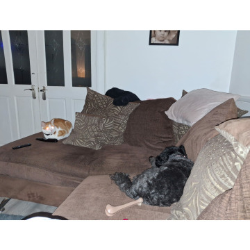 Tribute photo for Chris HOLMES