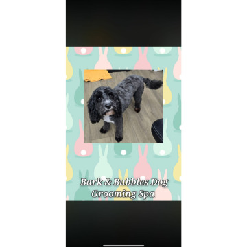 Tribute photo for Chris HOLMES