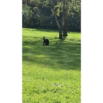 Notice Gallery for Chris HOLMES