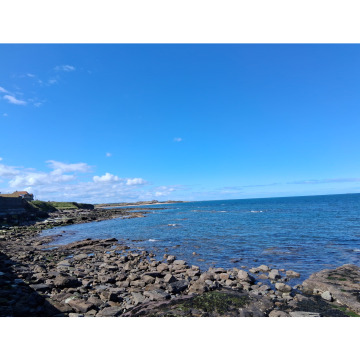 Photo for notice Chris HOLMES