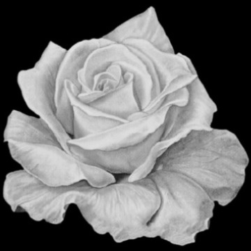 Photo for notice EILEEN KNOWLES