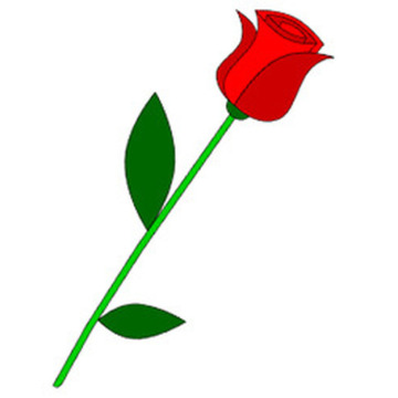 Photo of DONOGHUE ADAM