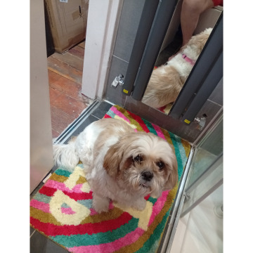 Notice Gallery for James (Jim) DEEHAN