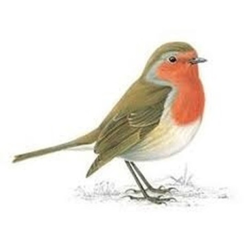 Notice Gallery for John LENNON