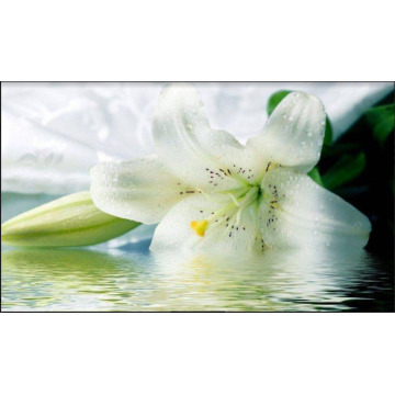 Photo of John Dewi SQUIRES