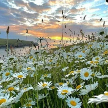 Photo for notice GARY JOHN LAWSON