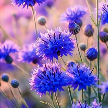 Photo for notice GARY JOHN LAWSON