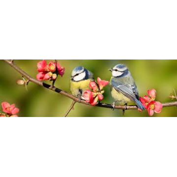 Photo of Jeanne Evelyn KERSEY