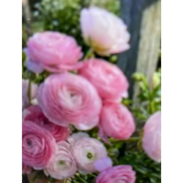 Tribute photo for Ivan John DEXTER