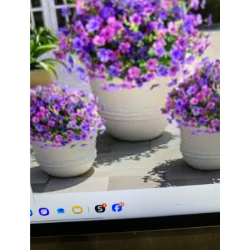 Notice Gallery for Ivan John DEXTER