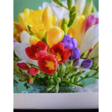 Photo for notice Ivan John DEXTER