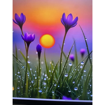Photo for notice Ivan John DEXTER