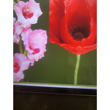 Photo for notice Ivan John DEXTER