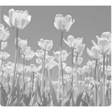 Notice Gallery for Janet PATON