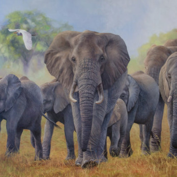 Photo of Kathleen JOHNSON