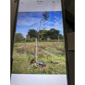 Notice Gallery for Matthew ASHMORE