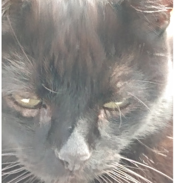 Notice Gallery for GORDON DUDLEY CAINE