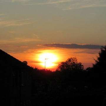 Notice Gallery for Leonard THORNTON