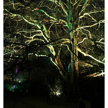 Notice Gallery for John CABLE