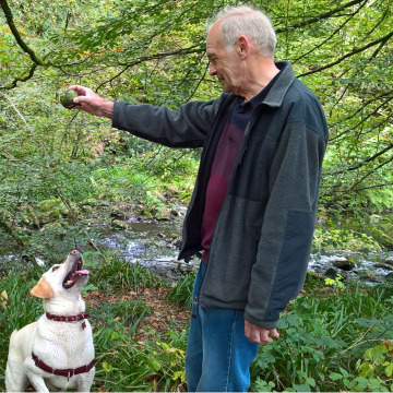 Notice Gallery for Stephen Alan BROOK