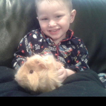 Notice Gallery for Mason WILLIAMS