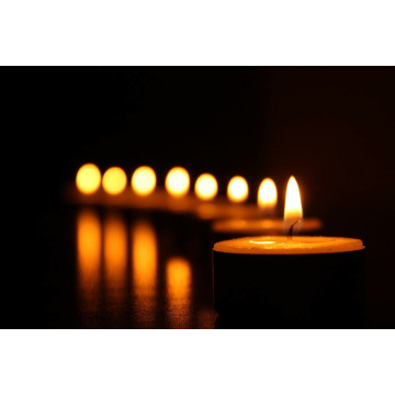 Notice Gallery for Sheila WERNER