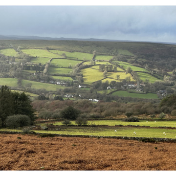 Notice Gallery for William Hugh WHITLEY