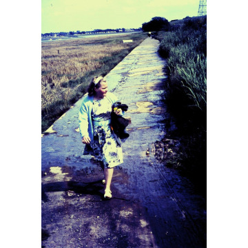 Photo of Anne BOREHAM