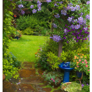 Notice Gallery for Shirley Nita Yvette SKYRME