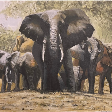 Notice Gallery for David WILLS