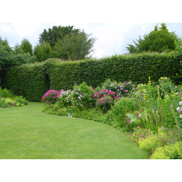 Notice Gallery for Kathleen Isabel TURNER