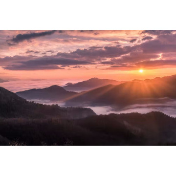 Notice Gallery for Robert Michael PARRY