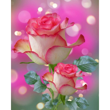 Notice Gallery for Betty DOIG (BIRCH)