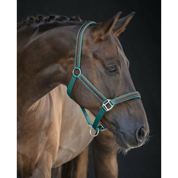 Notice Gallery for William DOIG