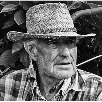 Notice Gallery for Lewis Thomas DAVIES