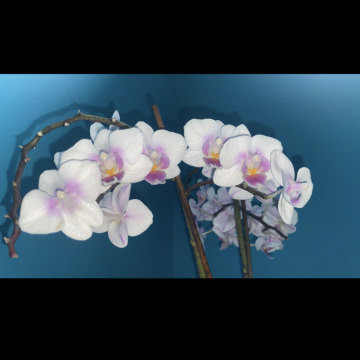 Notice Gallery for Derek MURFIN