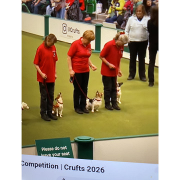 Photo for notice Ivan John DEXTER