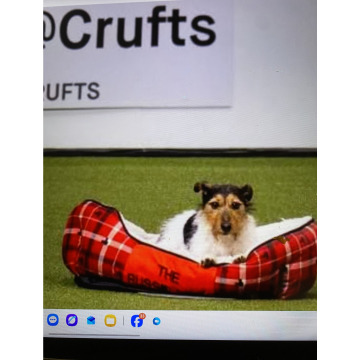 Photo for notice Ivan John DEXTER