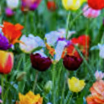 Photo for notice Ivan John DEXTER