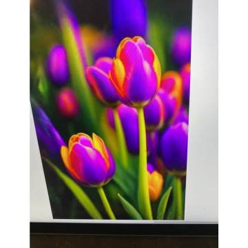 Photo for notice Ivan John DEXTER